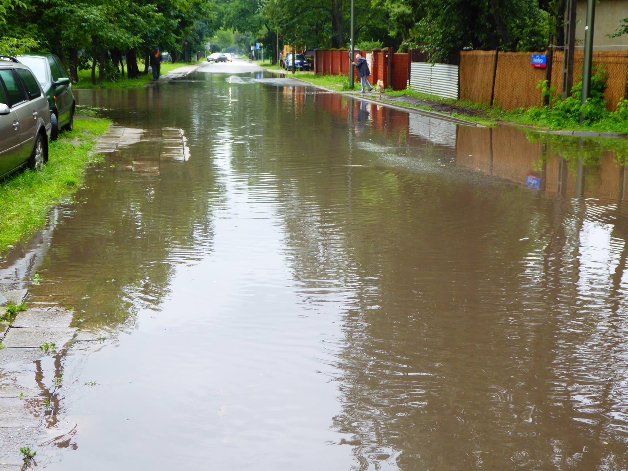 Wody deszczowe na działkach drogowych