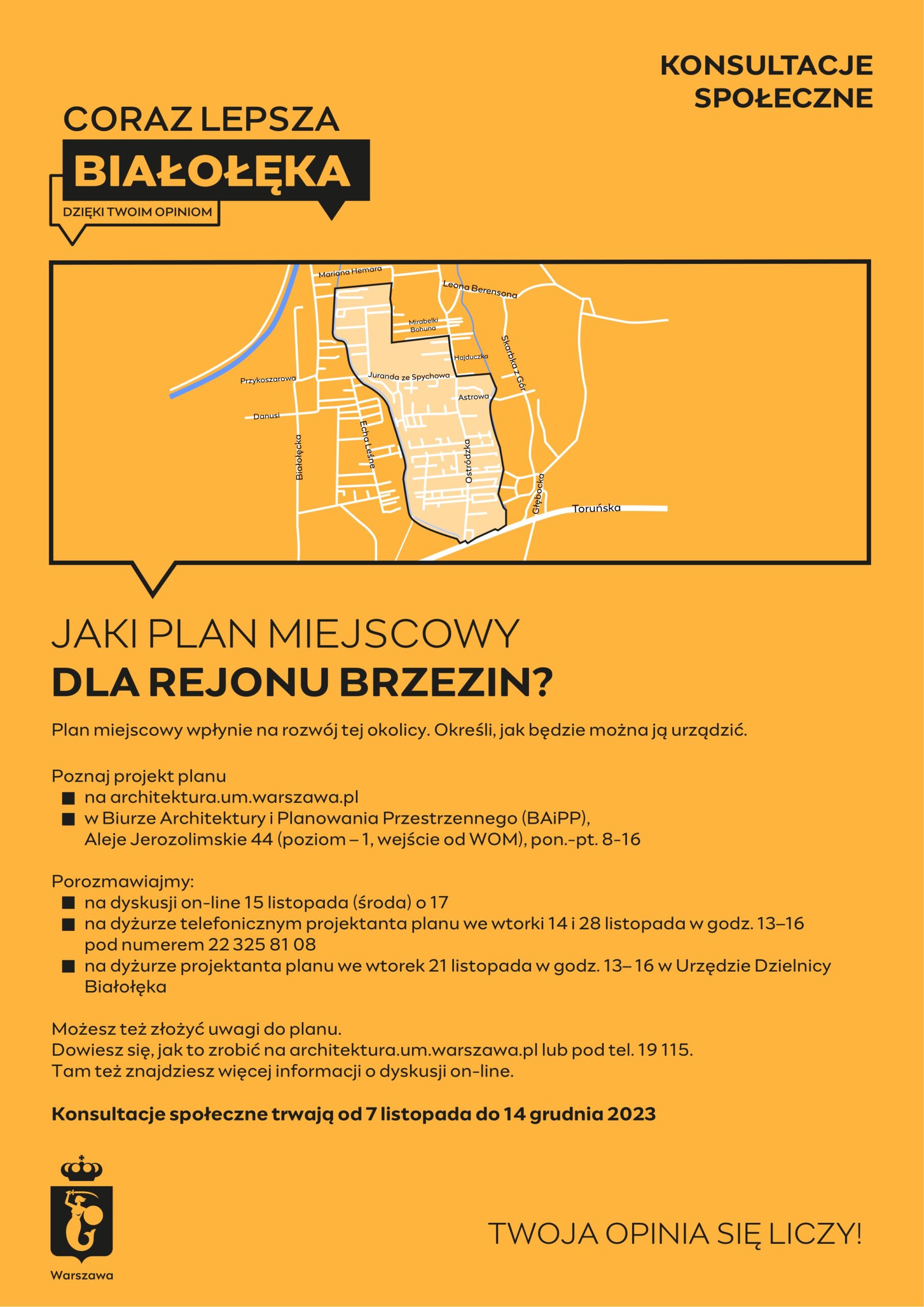 Plan miejscowy dla rejonu Brzezin [UWAGI]