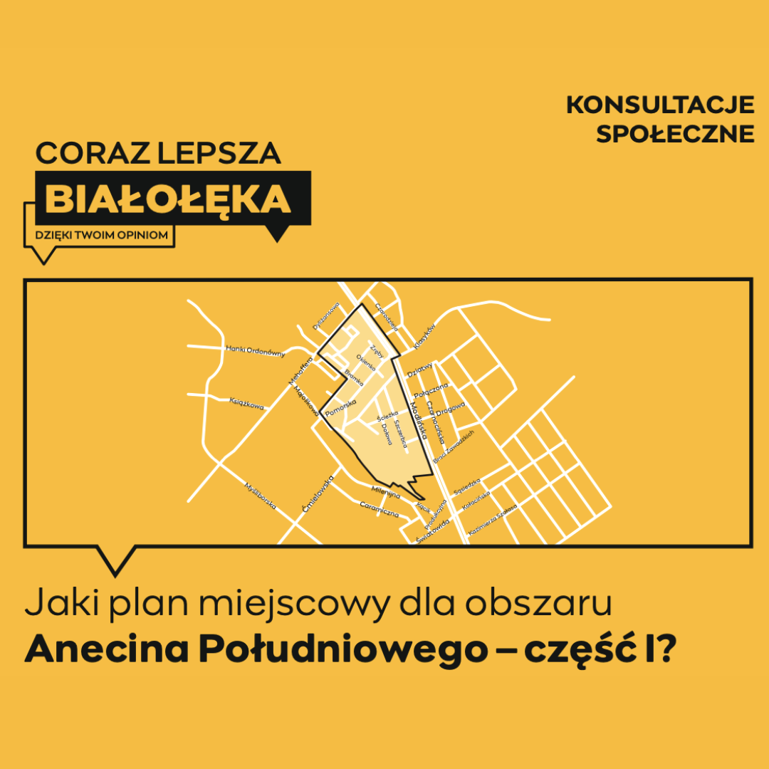 Plan miejscowy dla Anecina Południowego cz. I [UWAGI]